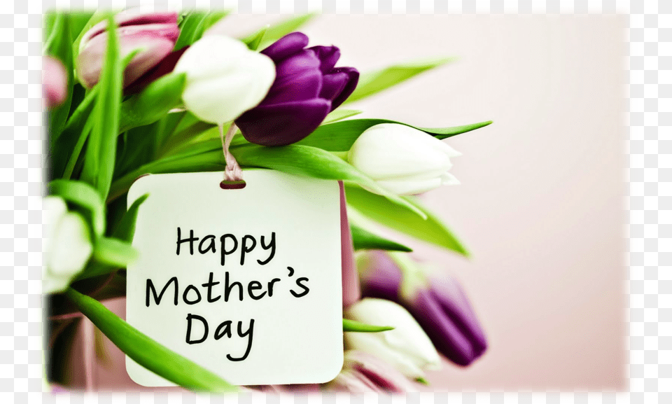 Mothers Day Banner Cute Happy Mothers Day, Flower, Flower Arrangement, Flower Bouquet, Petal Png