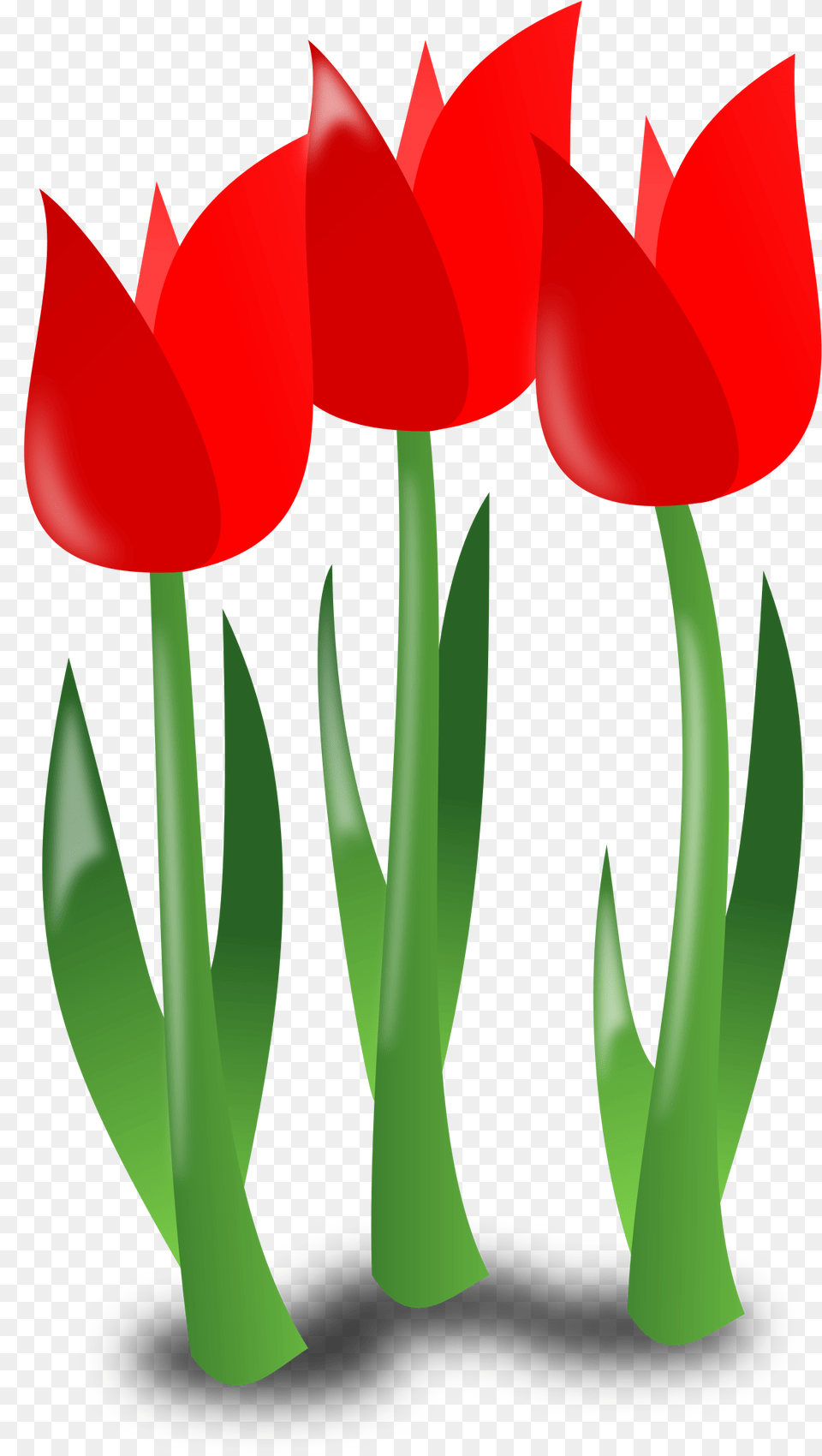 Mothers Day Clipart Mother Icon Flower Day Clipart, Plant, Tulip, Petal, Dynamite Png Image
