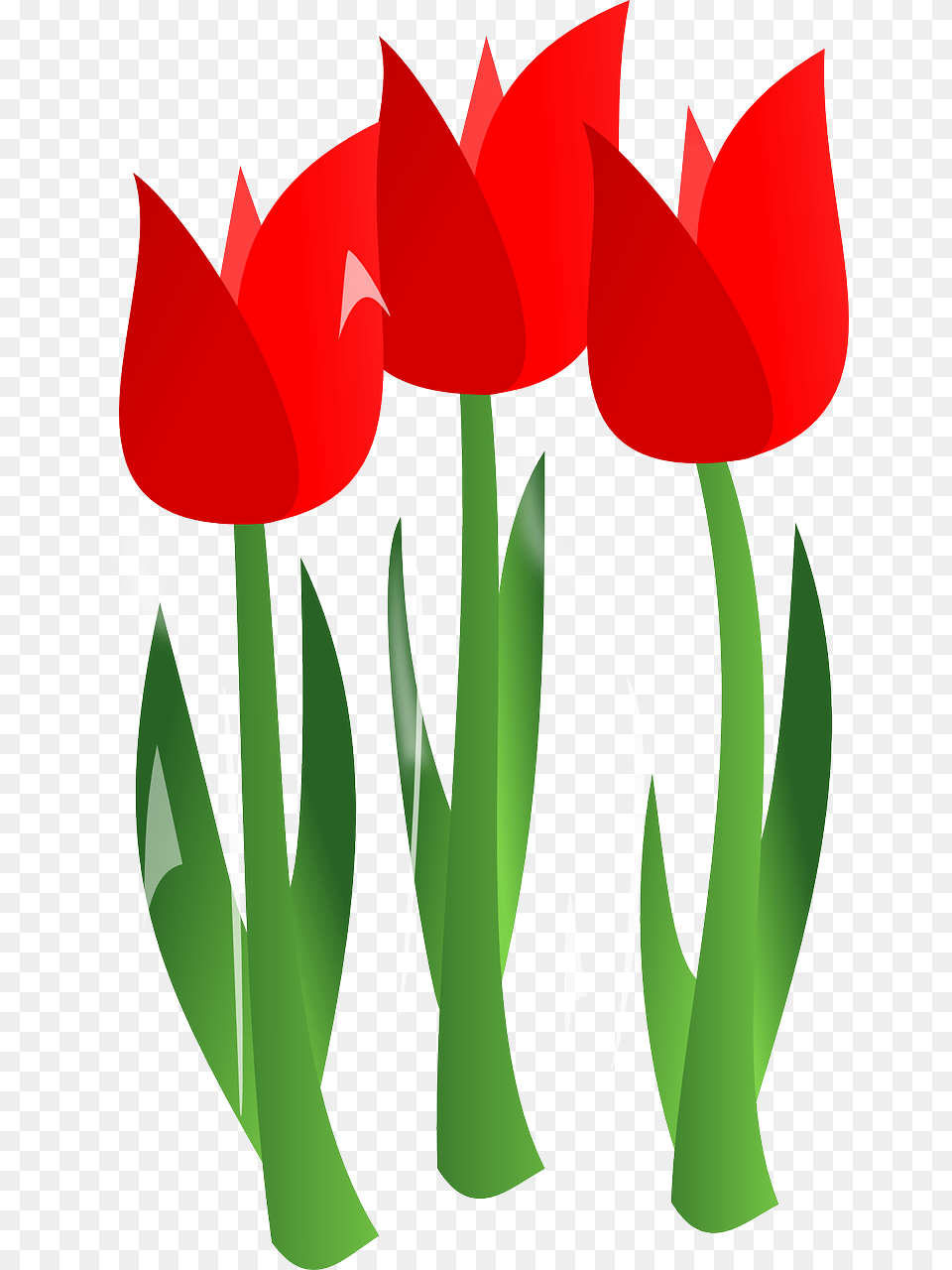 Mothers Day Flowers Cartoon, Flower, Plant, Tulip Png Image