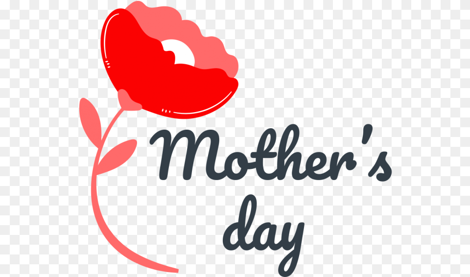 Mothers Day Download Searchpng Calligraphy, Flower, Petal, Plant, Food Png Image