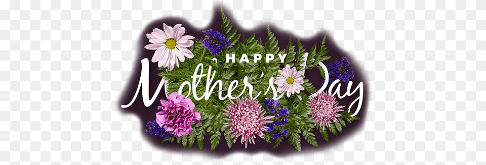 Mothers Day Logo Copy Floral, Purple, Dahlia, Daisy, Plant Free Png