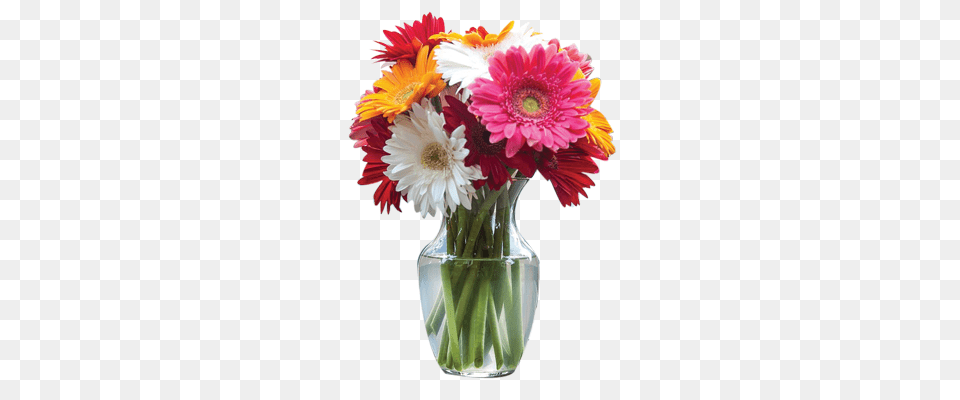 Mothers Day Traditions, Daisy, Flower, Flower Arrangement, Flower Bouquet Png Image