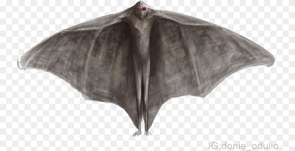 Mothman V20 Blues Forteana Iggy Makarevich Aas Lmno Outside O Hare International Airport, Animal, Mammal, Wildlife, Bat Free Png Download