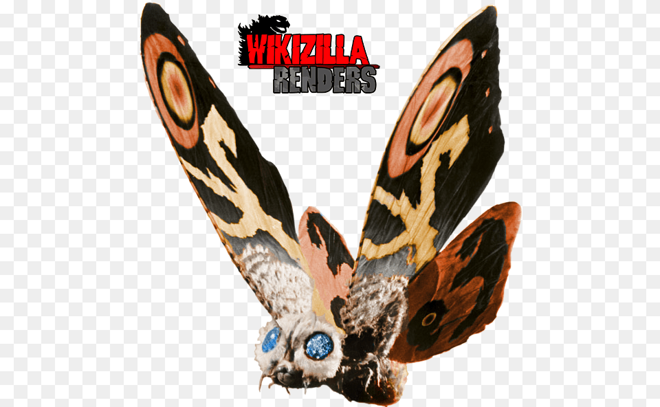 Mothra, Animal, Reptile, Snake, Butterfly Free Transparent Png