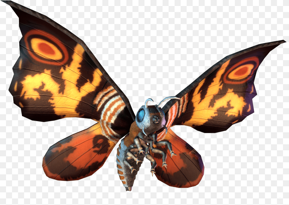 Mothra Mothra, Animal, Bee, Insect, Invertebrate Free Png Download