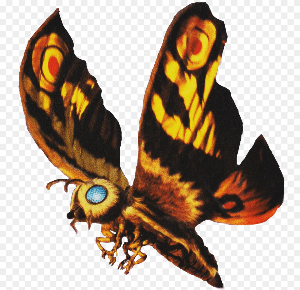 Mothra Tokyo Sos, Animal, Bee, Insect, Invertebrate Png