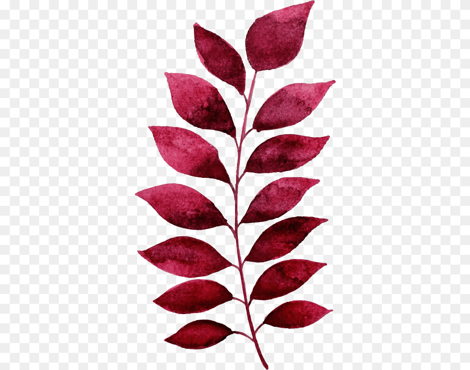 Motif, Flower, Leaf, Petal, Plant Free Transparent Png