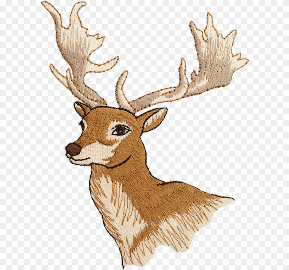 Motif Deer Elk, Animal, Mammal, Wildlife, Antler Png