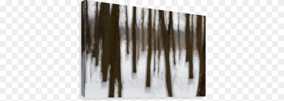 Motion Blur Of Trees Icicle, Grove, Vegetation, Tree Trunk, Tree Free Png