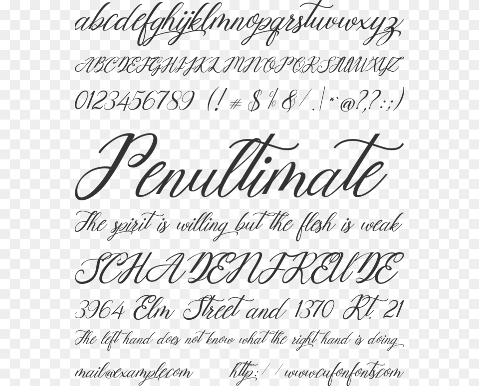 Mottingham Elegant Calligraphy Font Preview Handwriting, Text Free Png