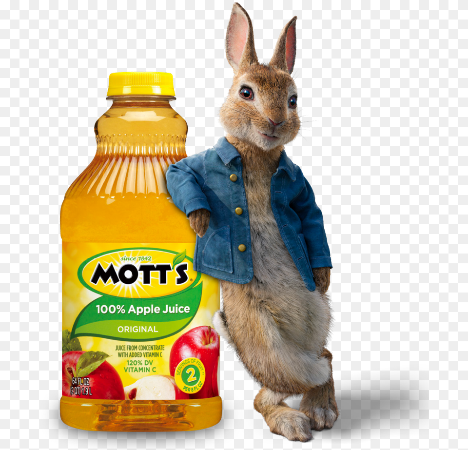 Motts Apple Juice, Clothing, Coat, Beverage, Animal Free Png