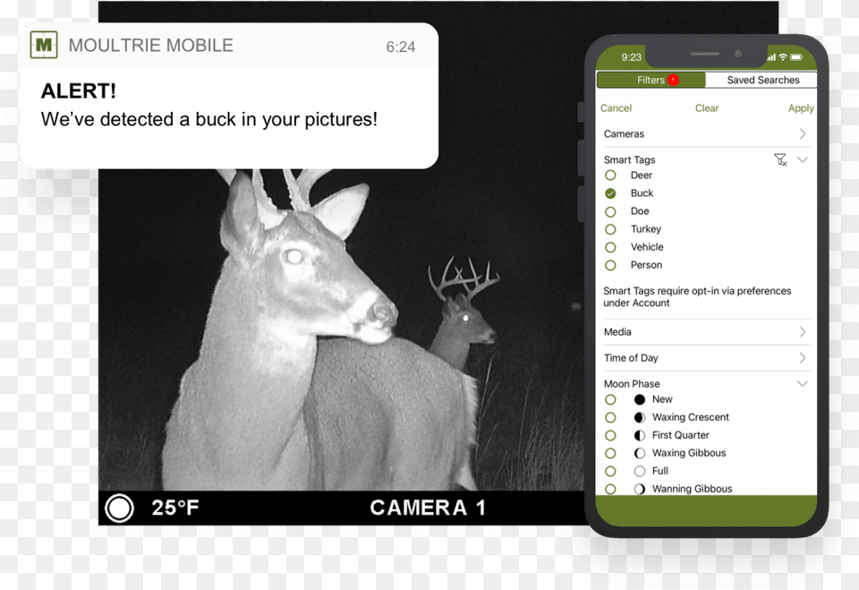 Moultrie Mobile App Trail Camera Android U0026 Iphone Mobile Phone, Animal, Mammal, Deer, Wildlife Free Png