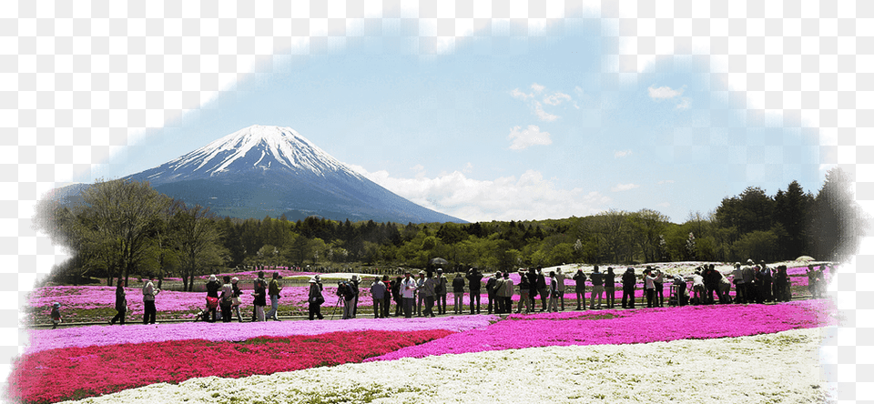 Mount Fuji, Scenery, Outdoors, Nature, Person Free Transparent Png