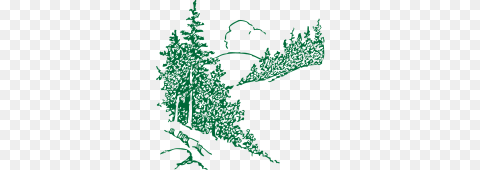 Mountain Tree, Plant, Pine, Green Free Transparent Png