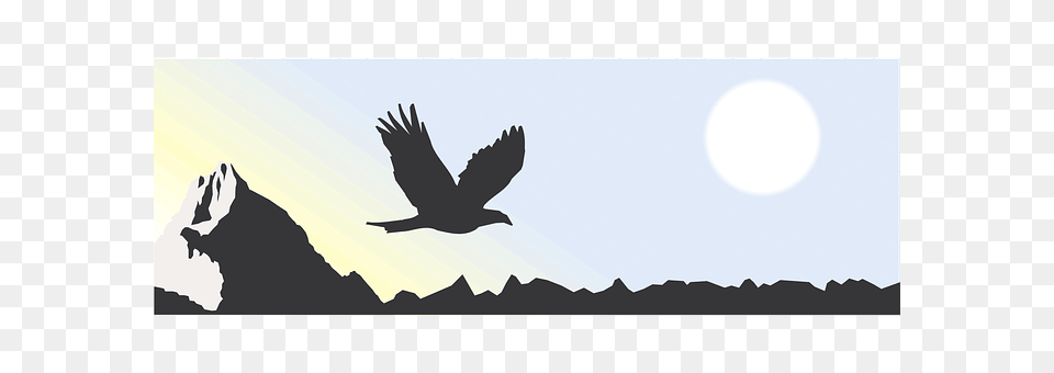 Mountain Animal, Bird, Flying, Blackbird Free Transparent Png