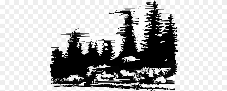 Mountain And Pine Trees Vector, Fir, Plant, Silhouette, Tree Png Image