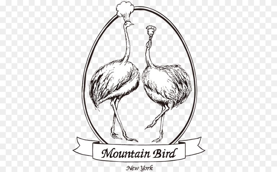 Mountain Bird U2014 Tastings Bespoke Catering U0026 Events Flightless Bird, Animal, Emu Free Png