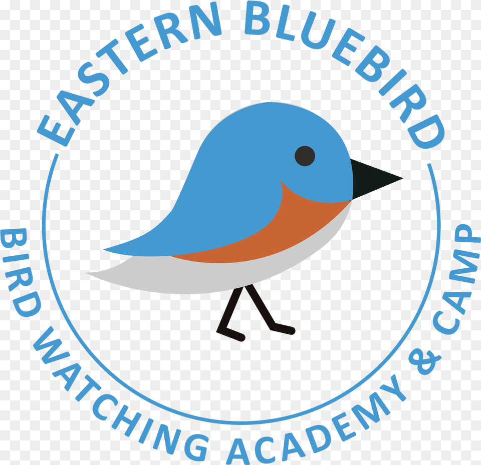 Mountain Bluebird, Animal, Bird, Logo, Jay Png