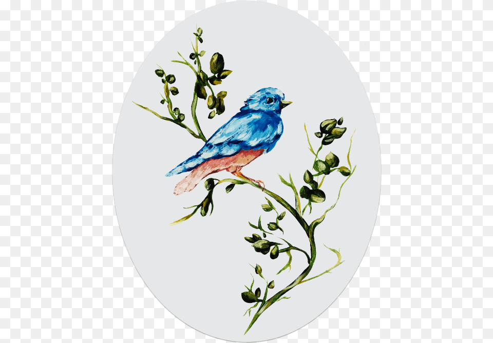 Mountain Bluebird, Animal, Bird, Jay, Art Free Png Download