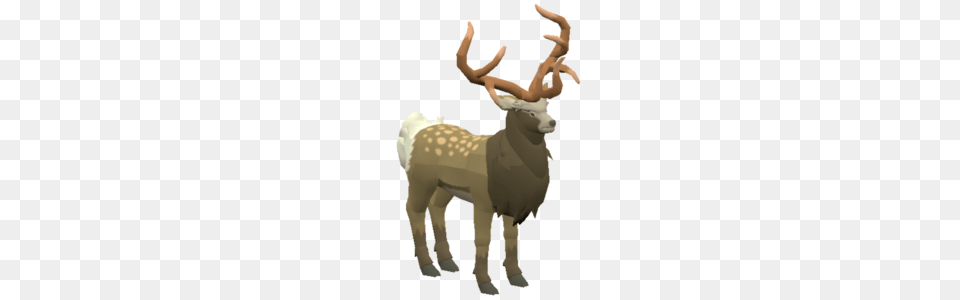 Mountain Buck, Animal, Deer, Mammal, Wildlife Free Png