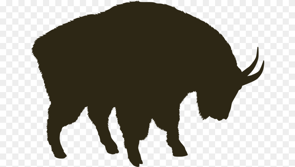 Mountain Goat Bison Bison, Animal, Mammal, Livestock, Wildlife Free Transparent Png