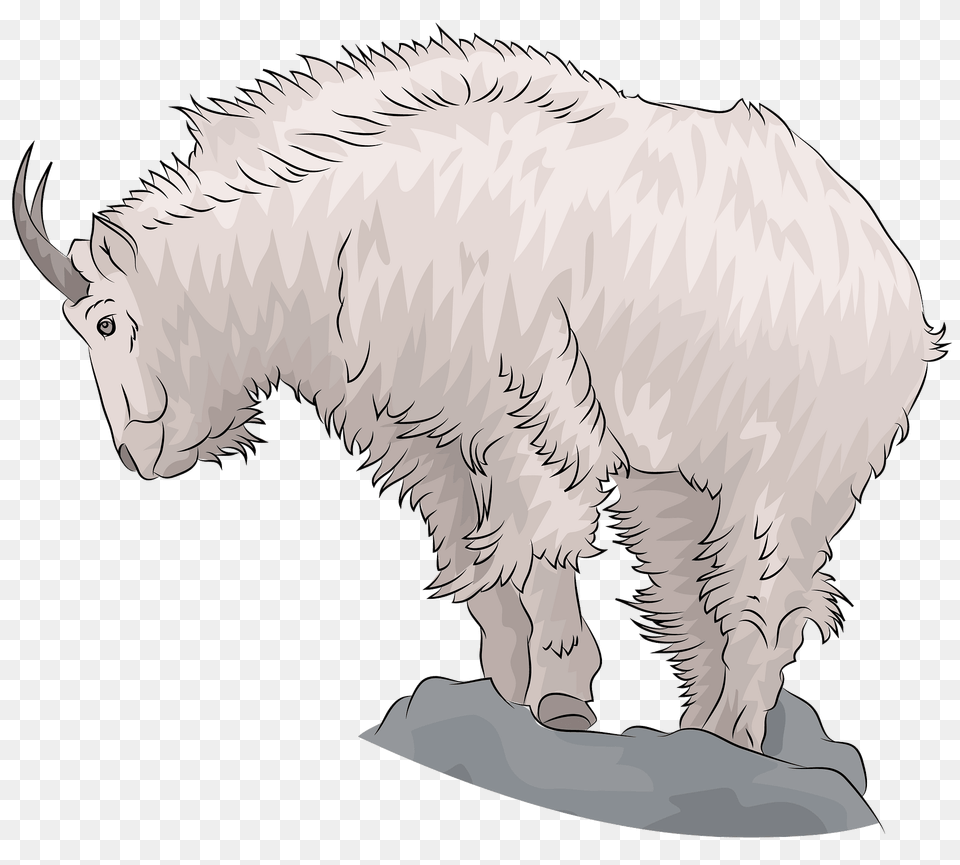 Mountain Goat Clipart, Livestock, Animal, Mammal, Mountain Goat Free Png Download