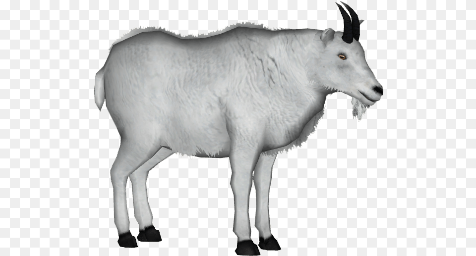 Mountain Goat Clipart Background, Livestock, Animal, Mammal, Cattle Png Image