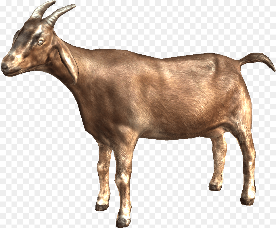 Mountain Goat Goat, Livestock, Animal, Mammal, Antelope Free Png Download