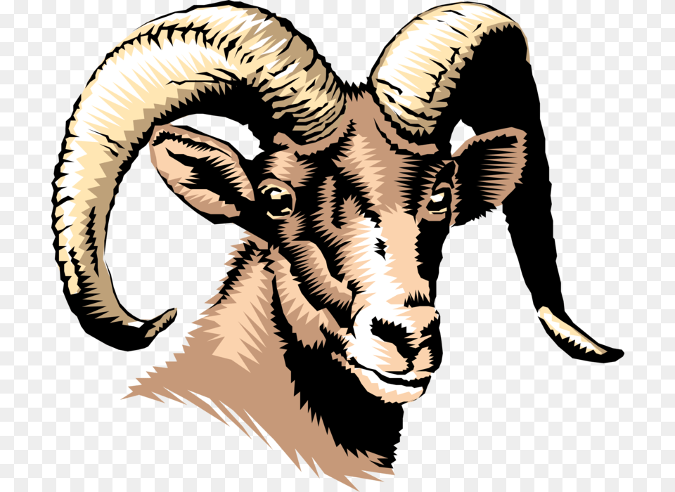 Mountain Goat Royalty Vector Clip Art Illustration Kuruma Sangam, Livestock, Animal, Mammal, Baby Free Png Download
