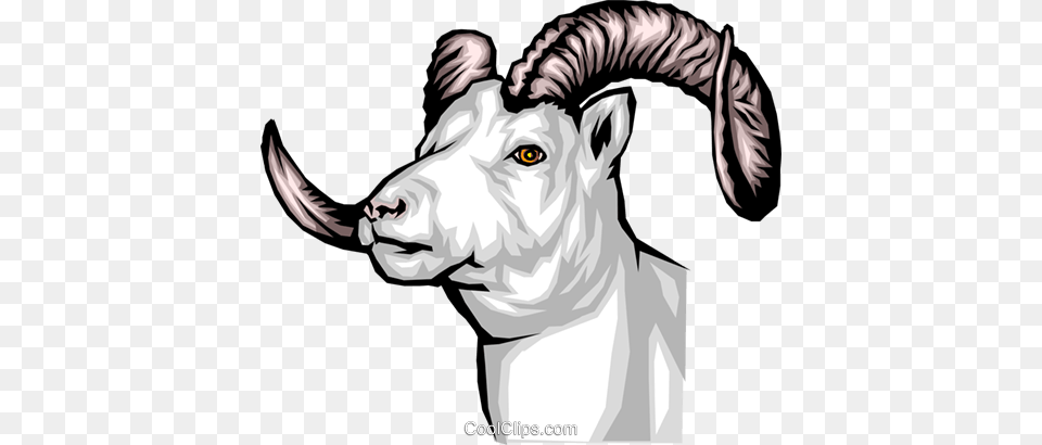 Mountain Goat Royalty Vector Clip Art Illustration, Livestock, Person, Animal, Mammal Free Transparent Png