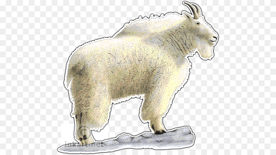 Mountain Goat Livestock, Animal, Mammal, Mountain Goat Free Transparent Png