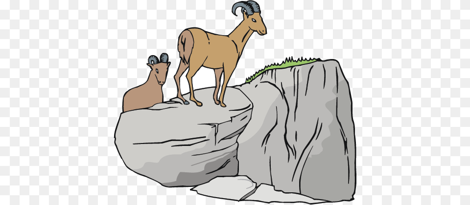 Mountain Goats Resources, Animal, Antelope, Mammal, Wildlife Free Transparent Png