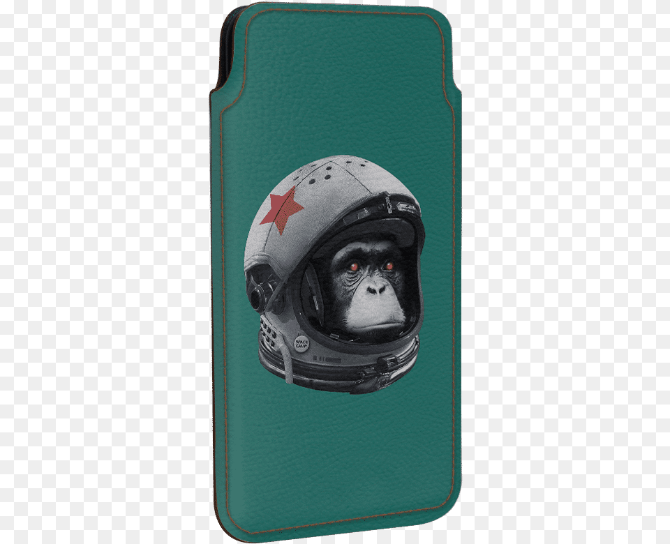 Mountain Gorilla, Crash Helmet, Helmet, Animal, Mammal Png Image