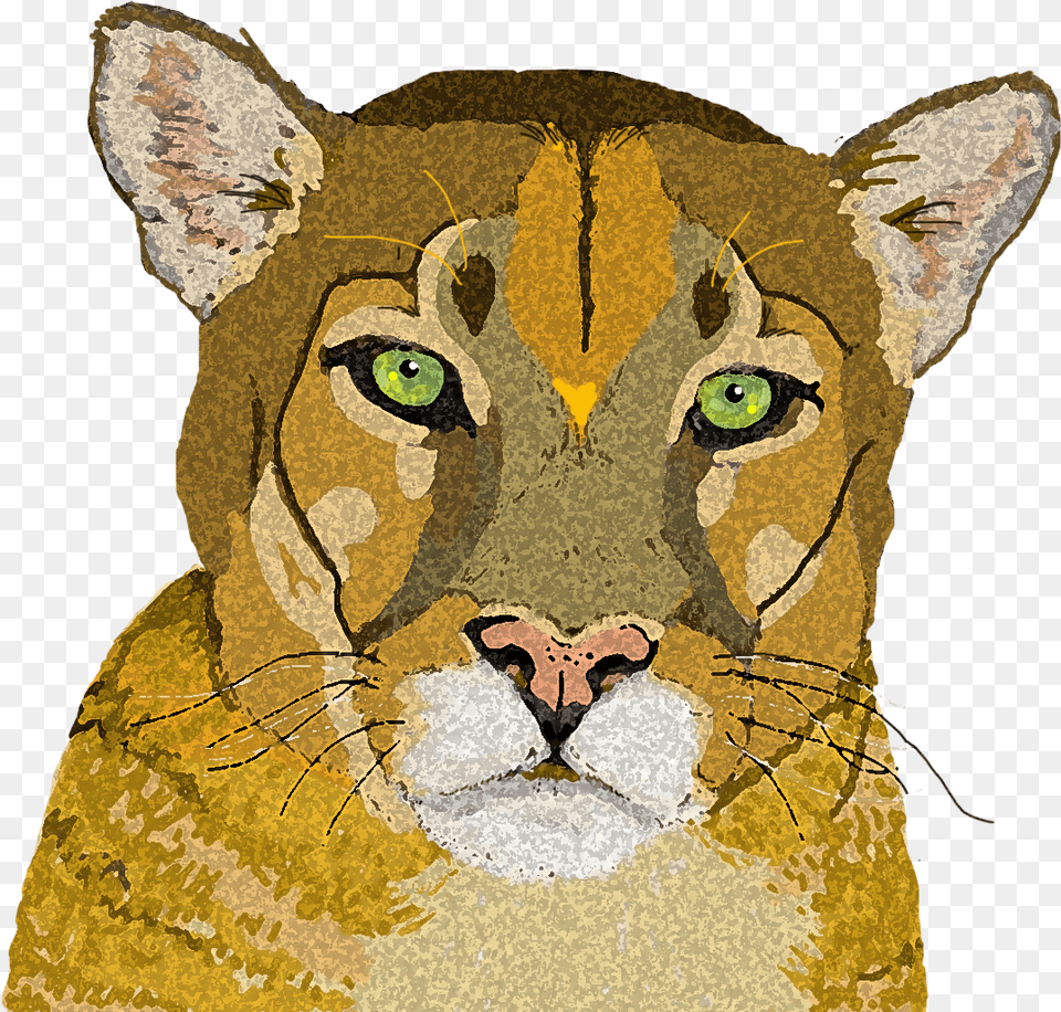 Mountain Lion 3 Copy Cougar, Person, Animal, Mammal, Wildlife Free Png