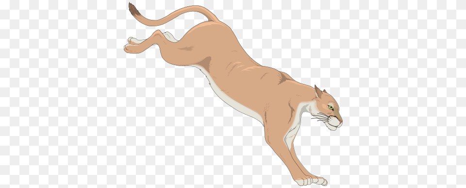 Mountain Lion Clipart Clip Art, Animal, Cougar, Mammal, Wildlife Png Image