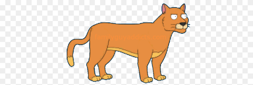 Mountain Lion Clipart Orange Mountain, Animal, Cat, Mammal, Pet Png Image
