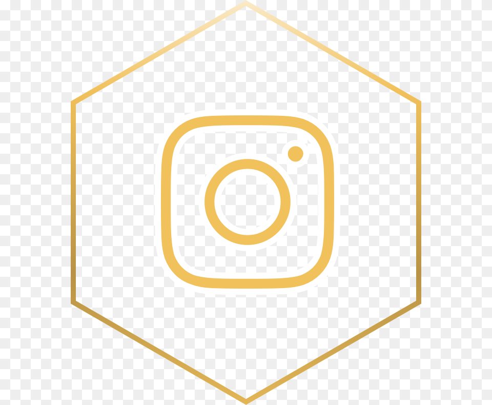 Mountain Lion Delivery Instagram Circle, Armor Png