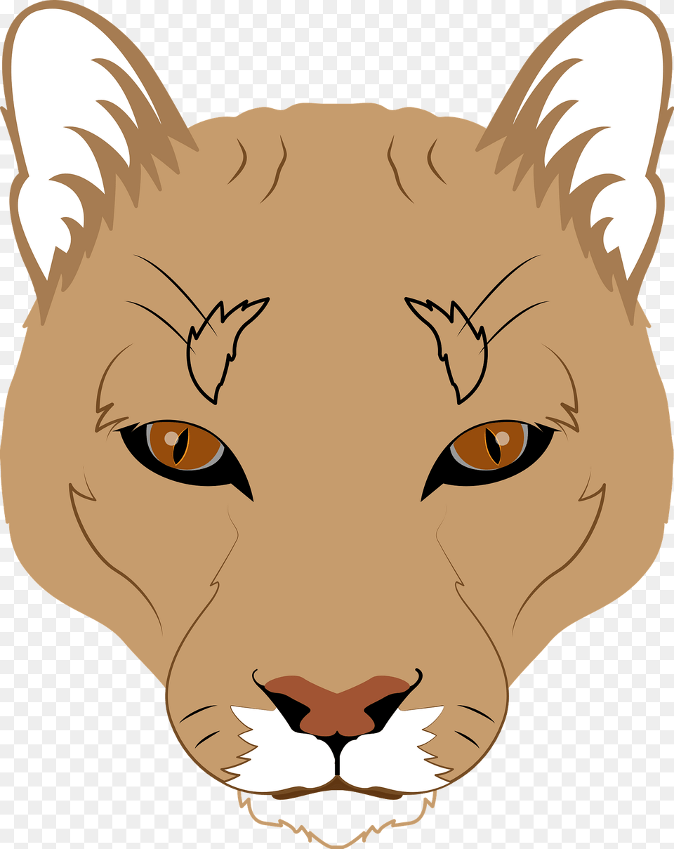 Mountain Lion Face Clipart, Baby, Person, Animal, Wildlife Free Transparent Png