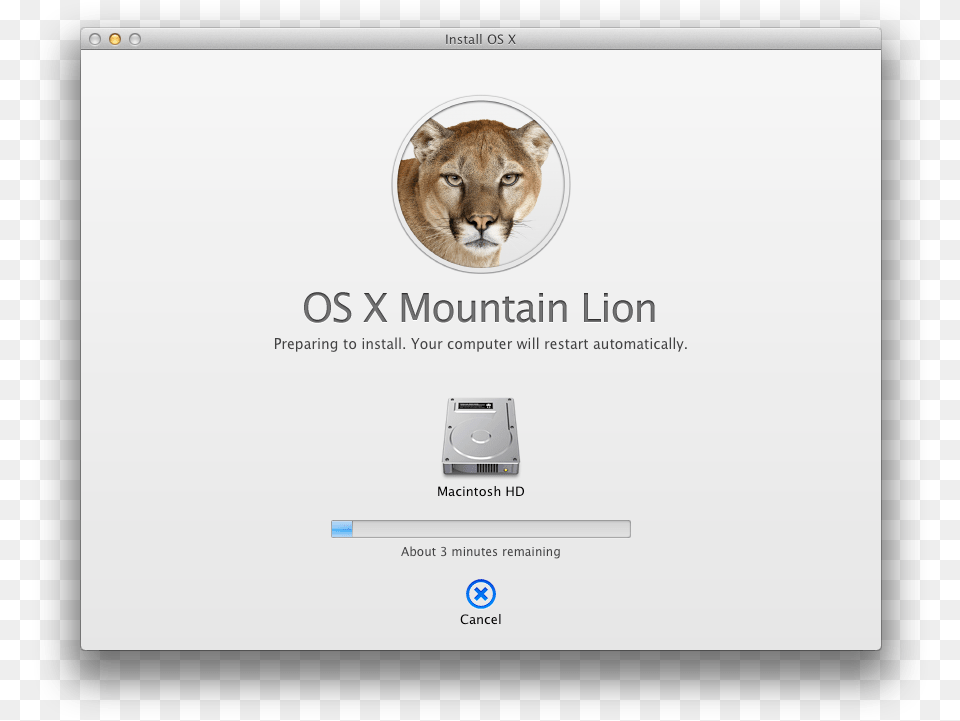 Mountain Lion First Impressions Mac Os X Mountain Lion, Animal, Mammal, Wildlife, Cougar Free Png Download