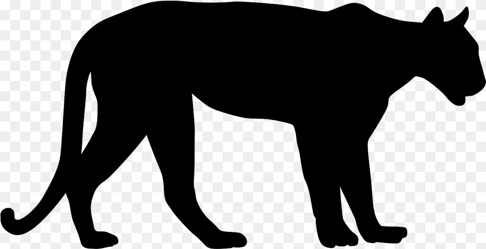 Mountain Lion Silhouette Vector, Gray Png