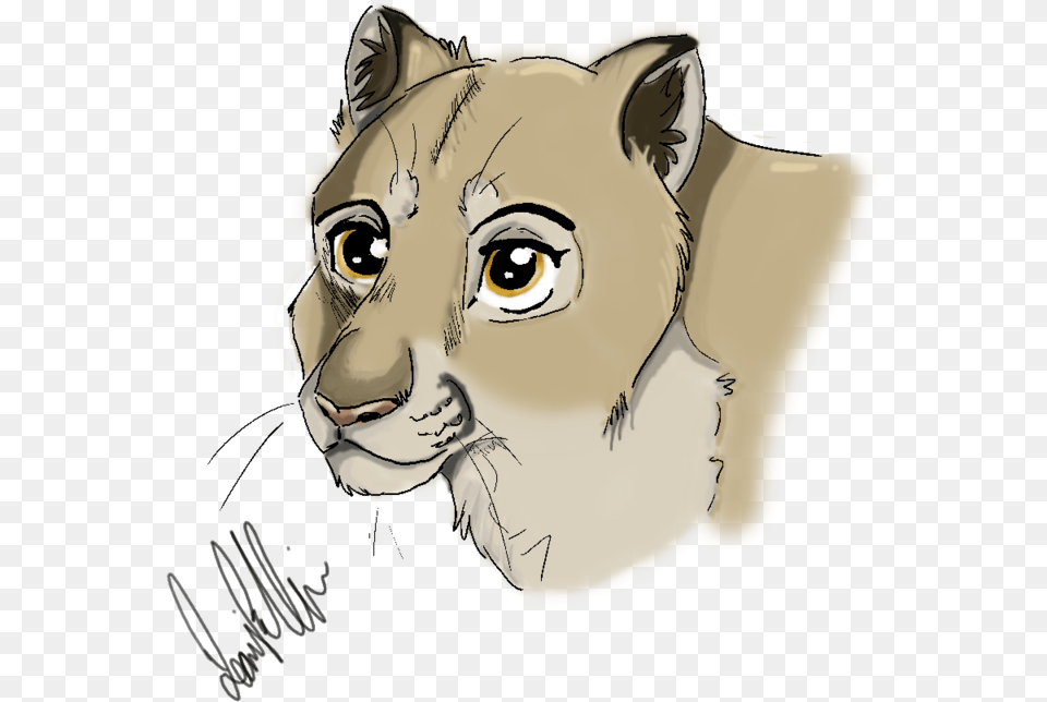 Mountain Lioness Illustration, Art, Baby, Person, Drawing Free Png Download