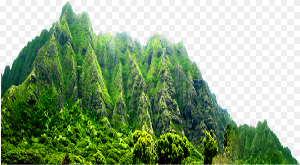 Mountain Mountains Hill Hills Green Greentrees, Scenery, Rainforest, Plant, Peak Png Image