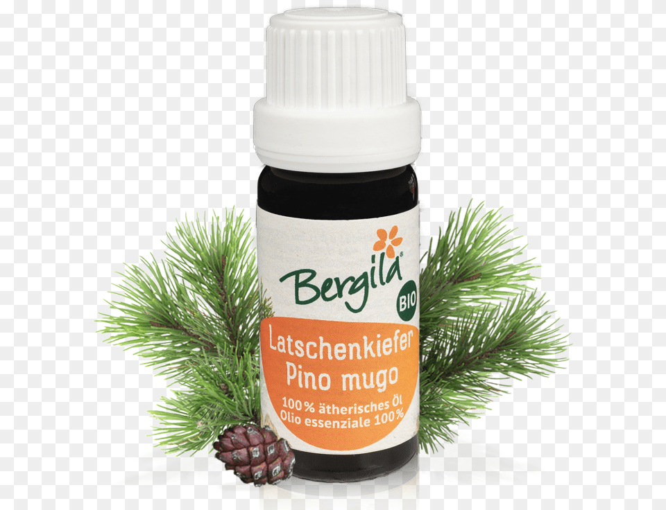 Mountain Pine Oil Organic Olio Essenziale Di Pino Mugo, Tree, Potted Plant, Plant, Herbs Free Png