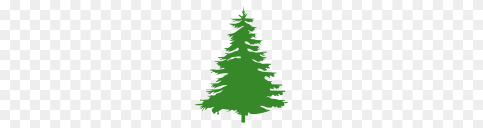 Mountain Pine Tree Silhouette, Fir, Green, Plant, Conifer Png Image