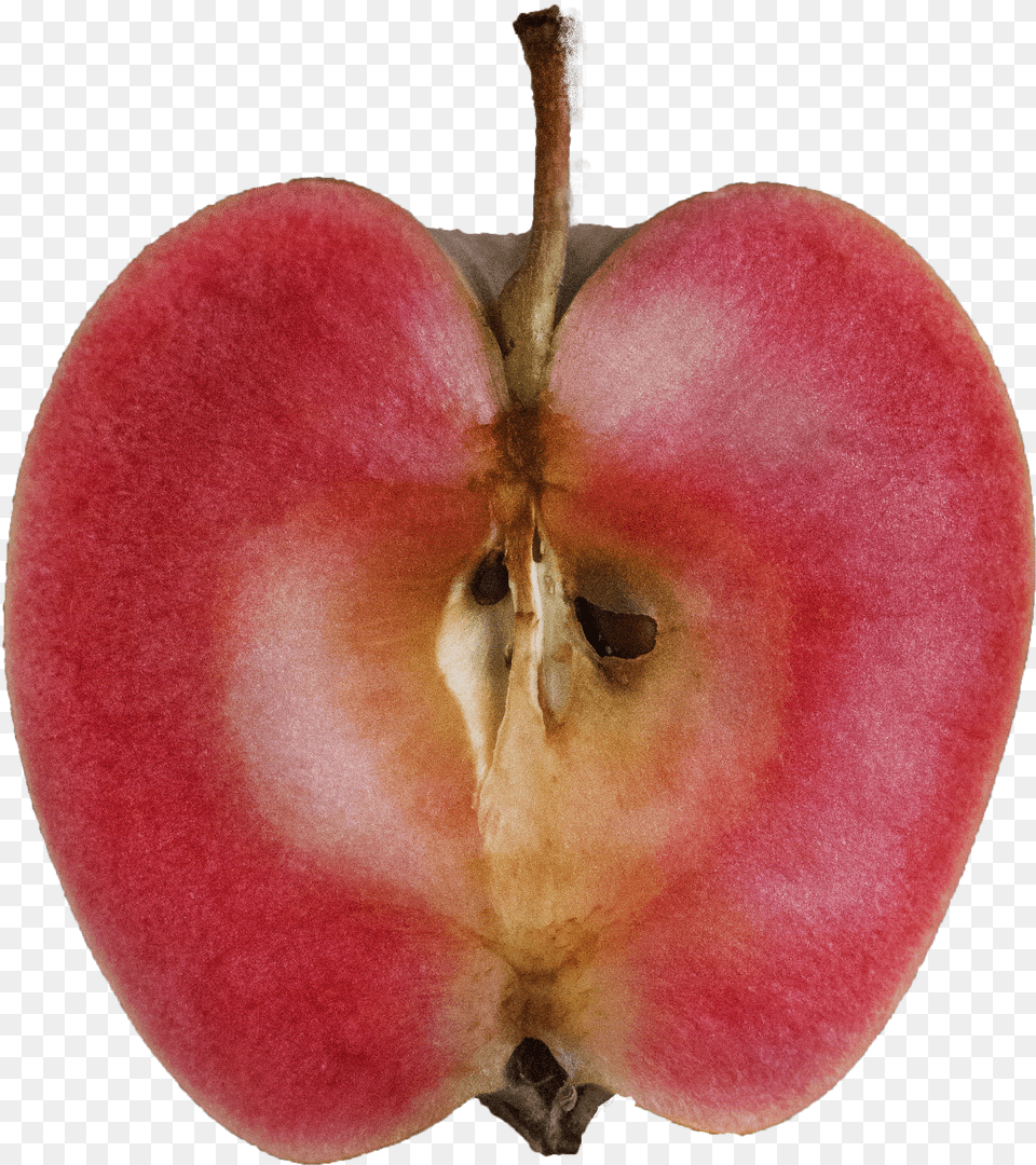 Mountain Rose Apples Free Png