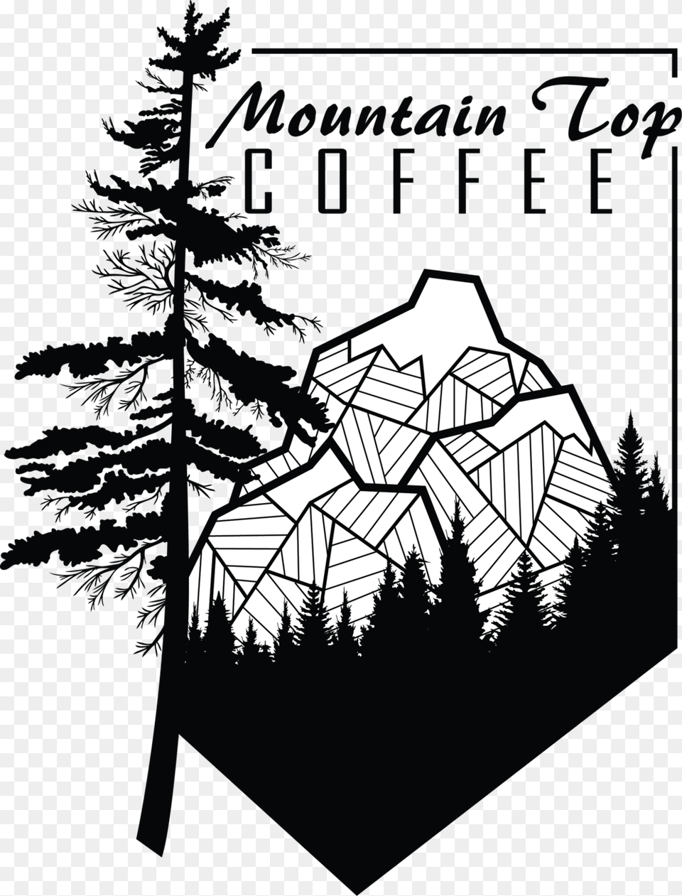 Mountain Top Coffee Logo Mountain Top Coffee Waukesha, Fir, Plant, Tree, Vegetation Free Png Download