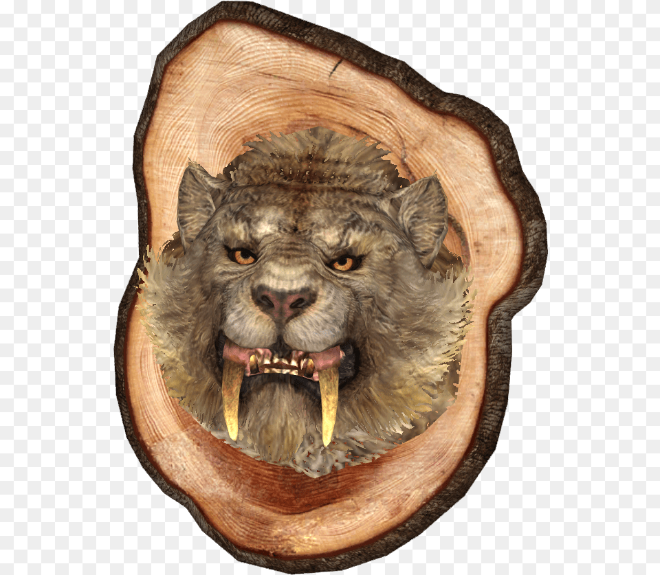 Mounted Sabre Cat Head Cat, Animal, Lion, Mammal, Wildlife Free Png Download