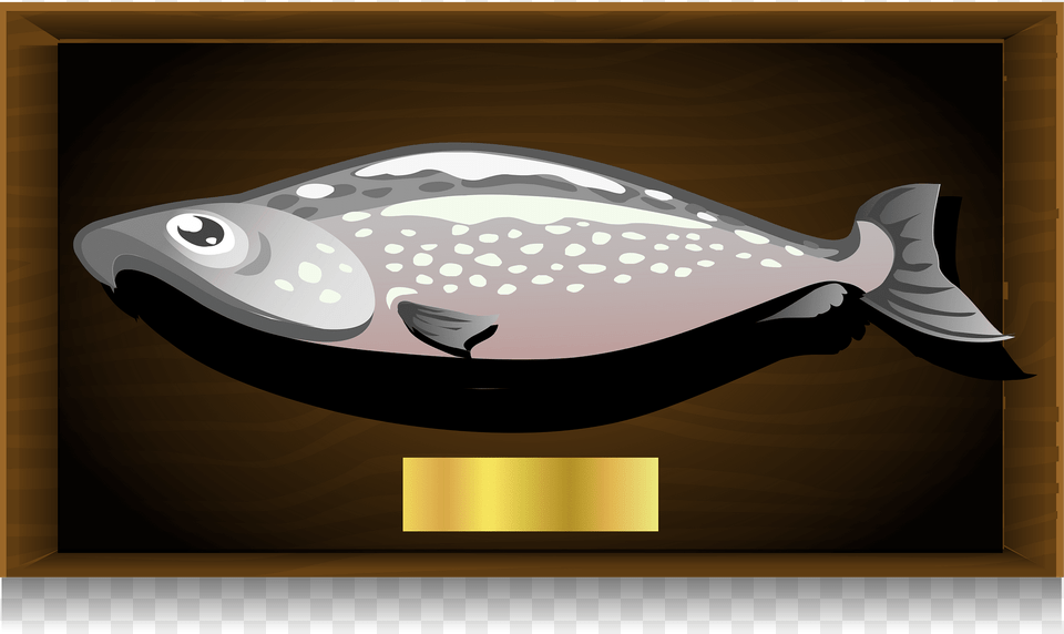 Mounted Salmon Picture Clipart, Animal, Sea Life, Fish, Shark Png Image