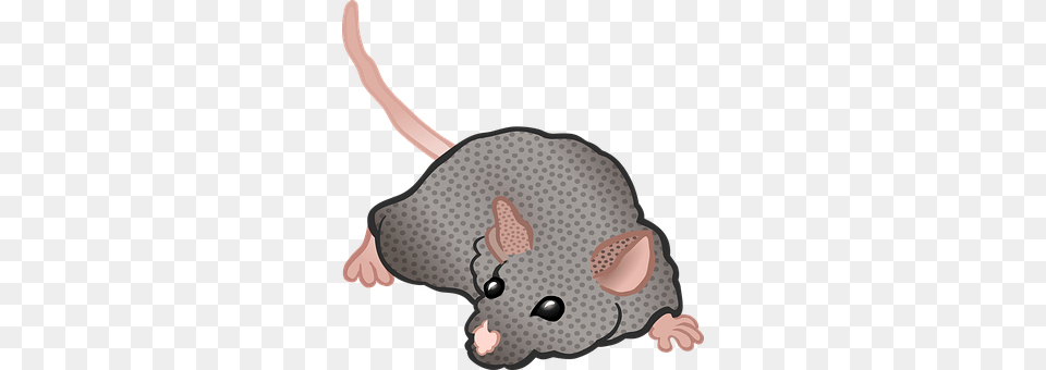 Mouse Animal, Mammal, Baby, Person Free Png