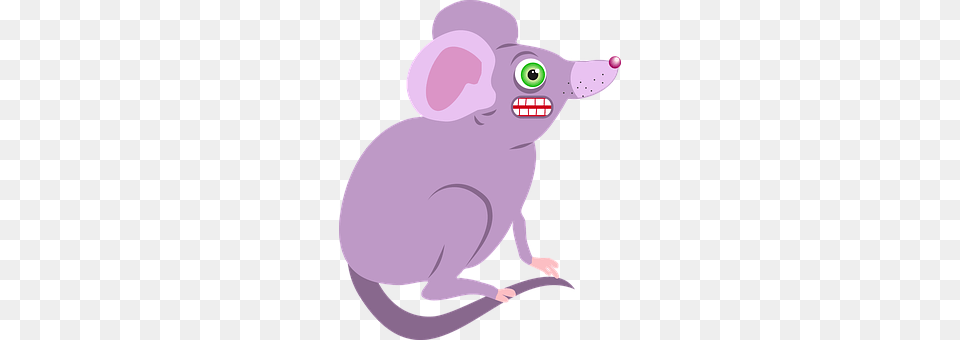 Mouse Animal, Mammal, Baby, Person Png Image